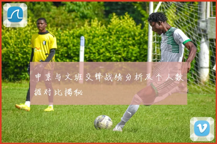 申京与文班交锋战绩分析及个人数据对比揭秘